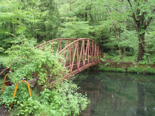 新緑をまとう金田一橋