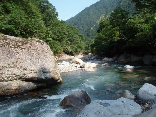 この時期は、こういう流れで釣ってます!