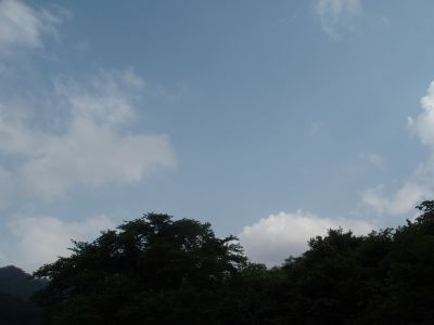 もうすぐ梅雨明け・・・