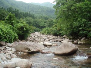 渓相抜群!でもやっぱり厳しい・・・