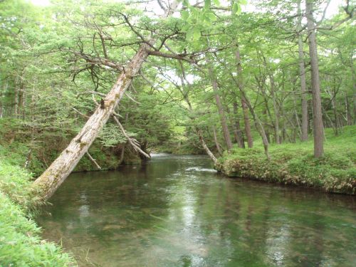 8月17日 湯川