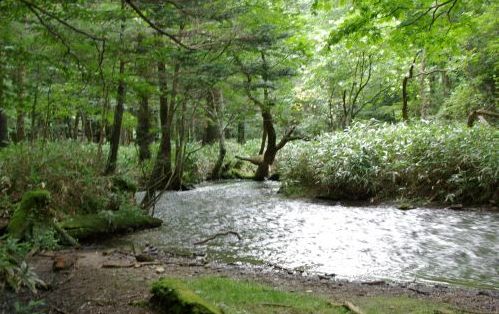 8月17日 日光湯川