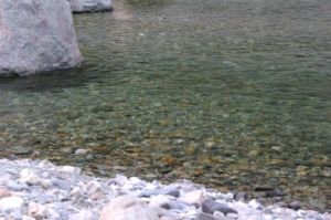 減水・ジンクリア・流下なし・・・まさに3重苦!!