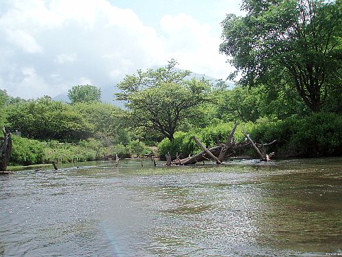 6月28日 日光湯川