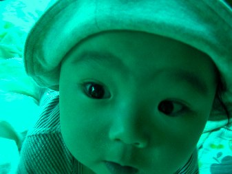 帽子の二葉