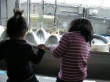 二人in水族館