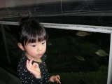 水族館の二葉