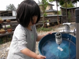 水遊び