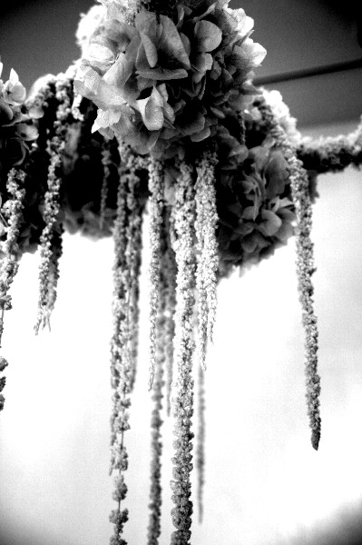 20100524_000.jpg