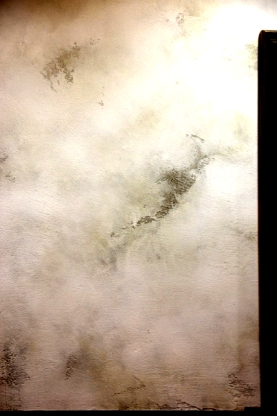 p17.jpg