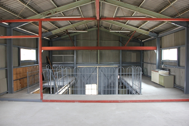 B3.jpg