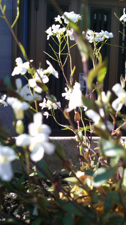 mini_110404_0811.jpg