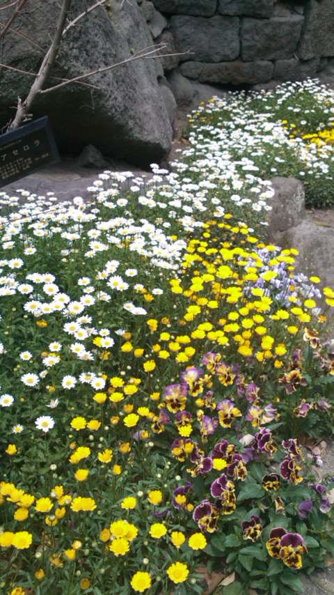 mini_110421_1318.jpg