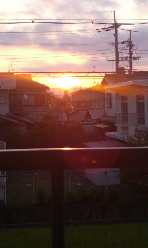mini_110929_0605.jpg