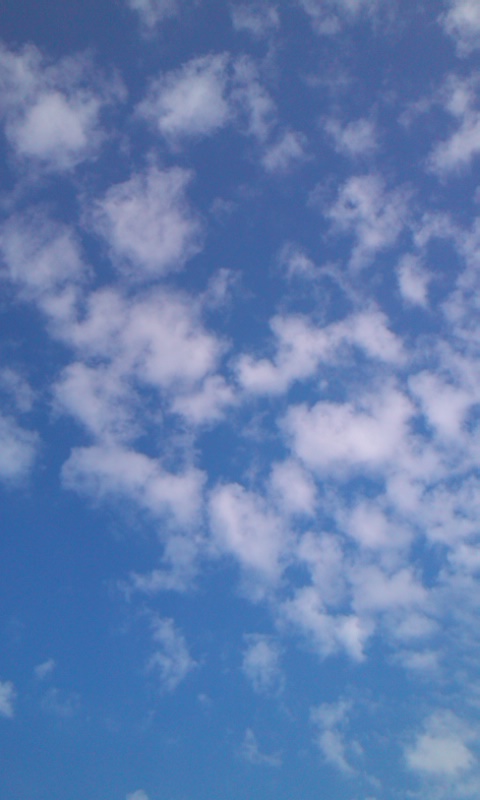 110929_0754~01.jpg