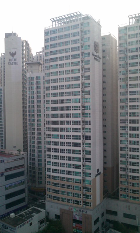 mini_111009_0658.jpg