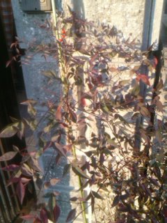 mini_130119_0755.jpg