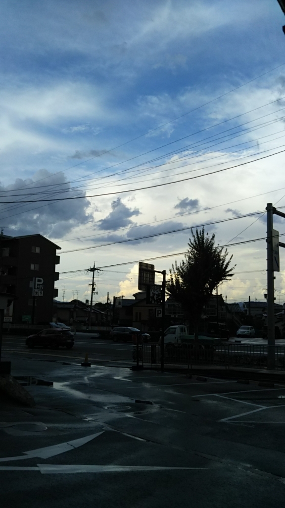 DSC_0131.JPG