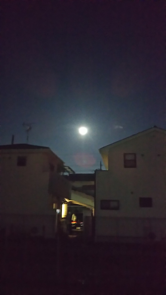 20181223_2173899.jpg