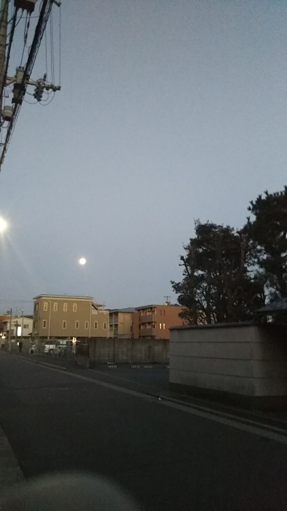 20190122_2197986.jpg