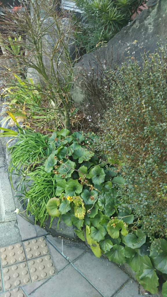20190131_2205595.jpg