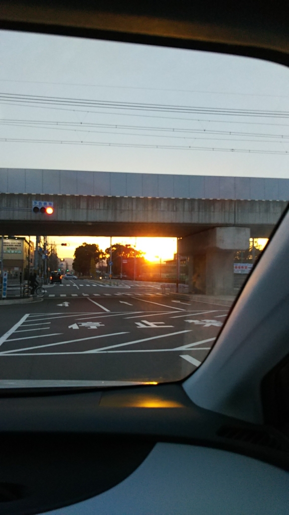 20190227_2228661.jpg
