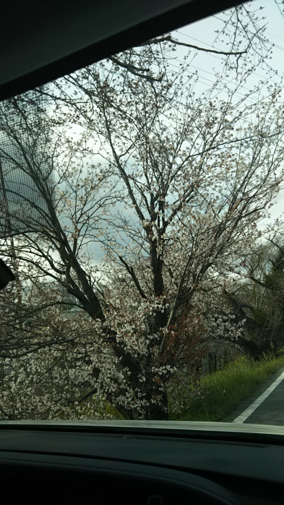 20190329_2253605.jpg