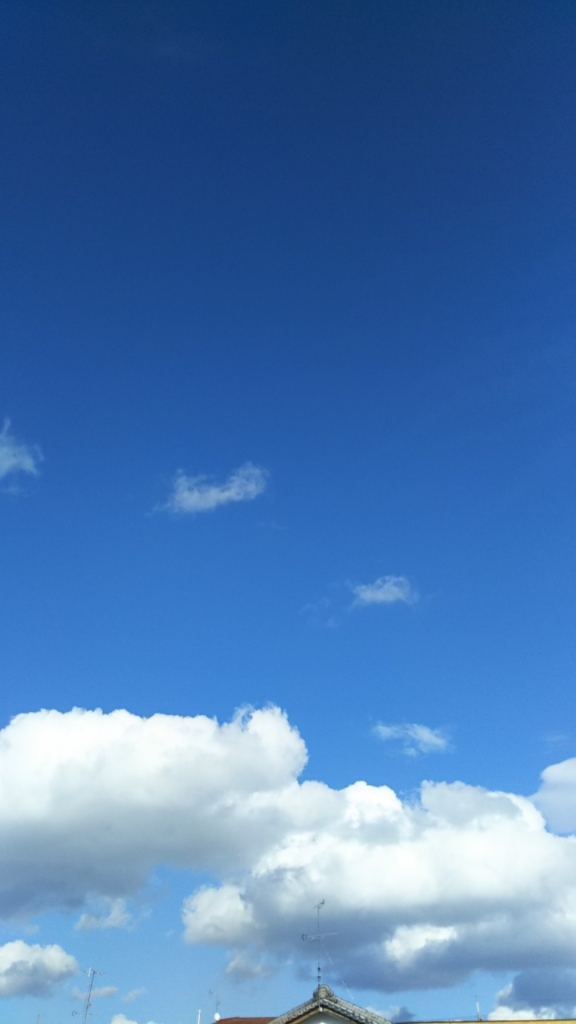 20190401_2255953.jpg