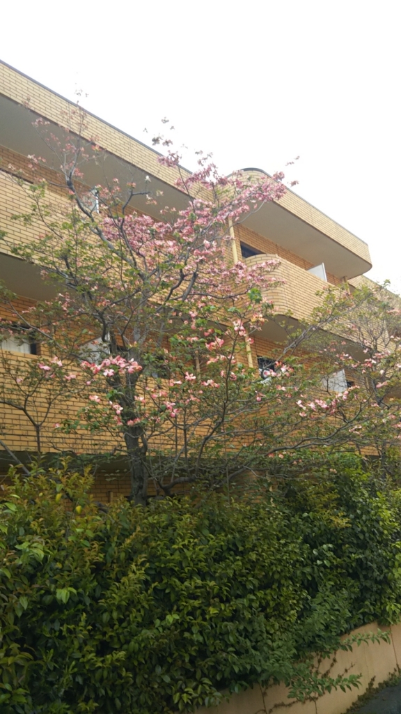 20190422_2275189.jpg
