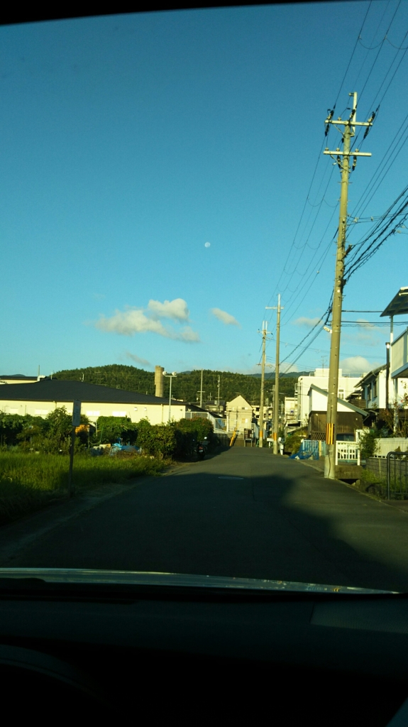 20190917_2366953.jpg