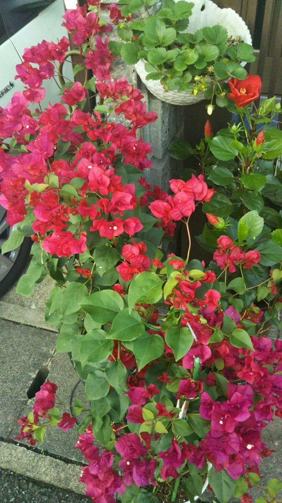 20191028_2387300.jpg