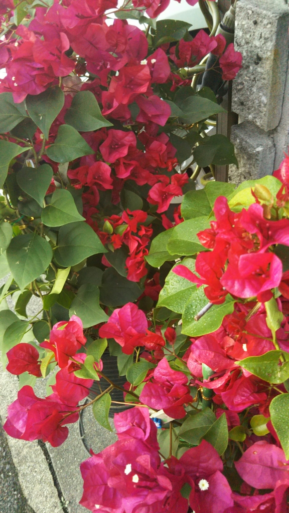 20191101_2389076.jpg