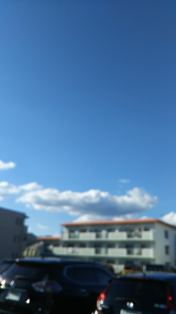 20200916_2523741.jpg
