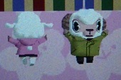 20150301_5.jpg
