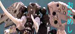 DSCN6537_ba.jpg