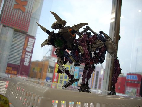 DSCN8973.jpg