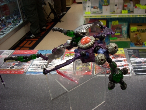 DSCN9409.jpg