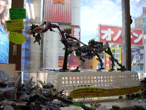 DSCN9618.jpg