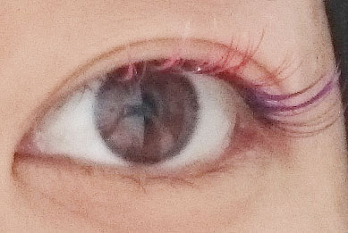 ÀÄ¿¹»Ô¥«¥é¡¼¥Þ¥Ä¥¨¥¯.jpg