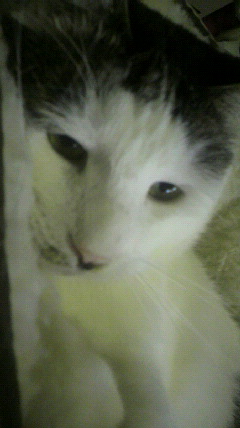2010052011190000.jpg
