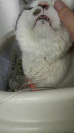 2011011611200000.jpg