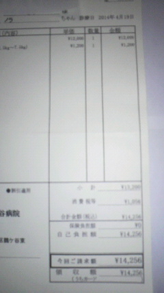 2014042011320000.jpg