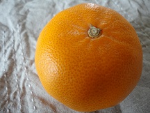 せとか