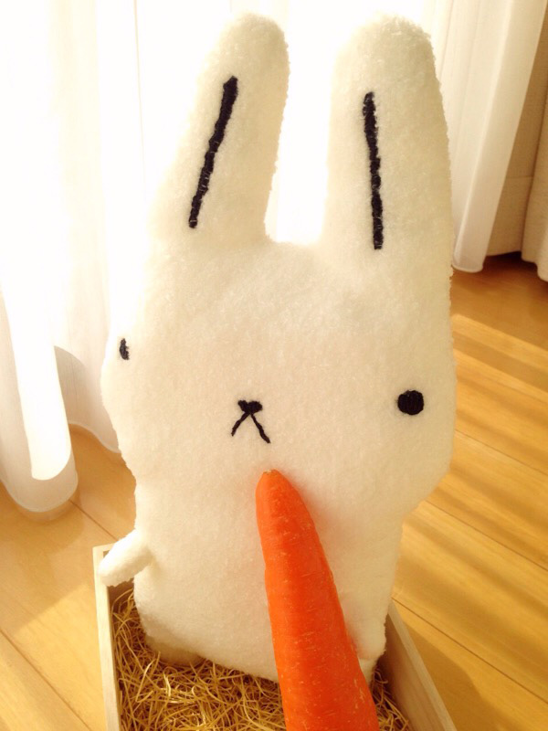 まな板うさぎ_ぬいぐるみ写真6