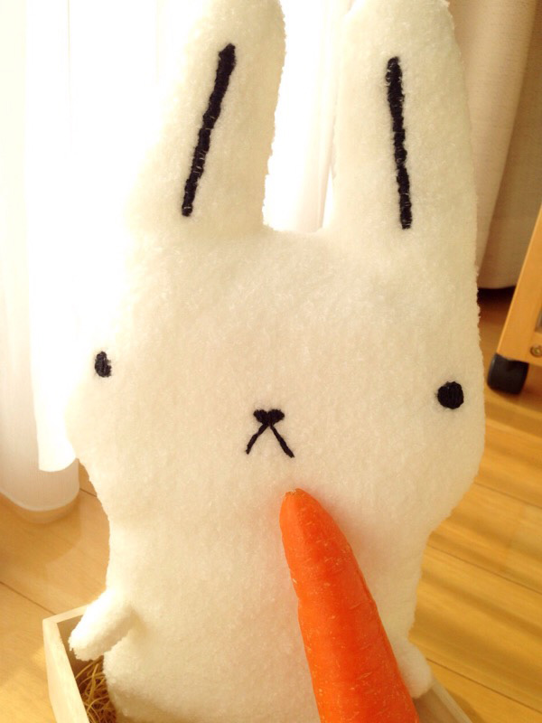 まな板うさぎ_ぬいぐるみ写真7