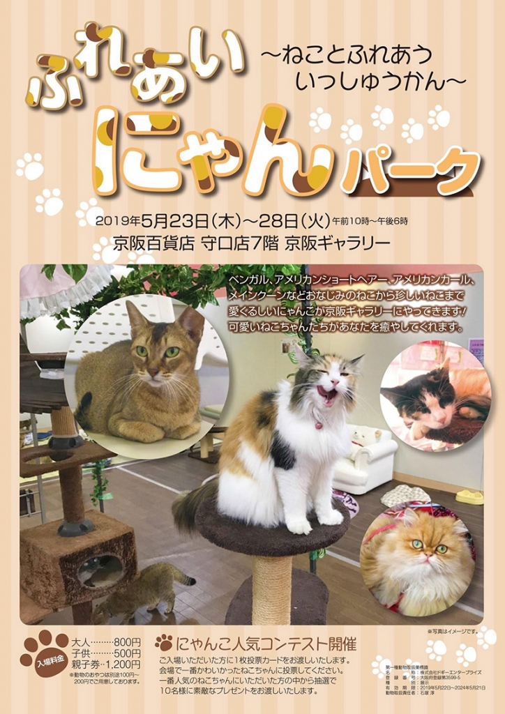 ふれあいにゃんパークチラシ