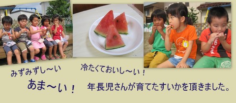 すいか