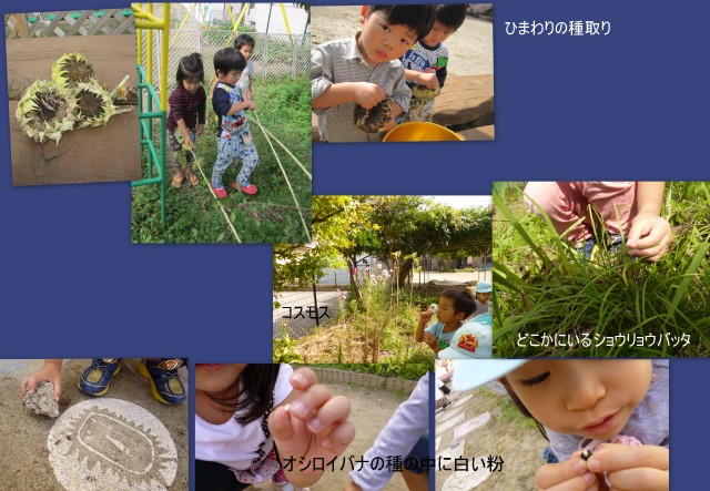 2014秋