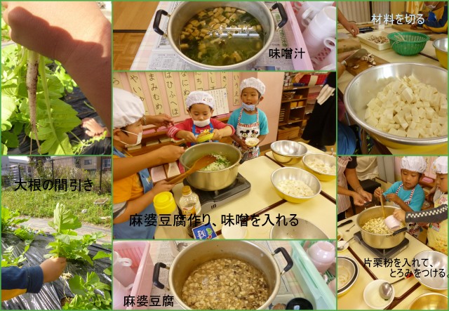 麻婆豆腐