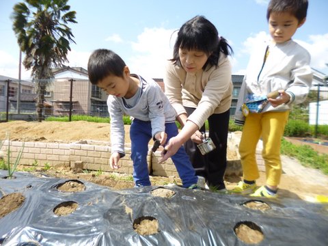 2018.ジャガイモ植え